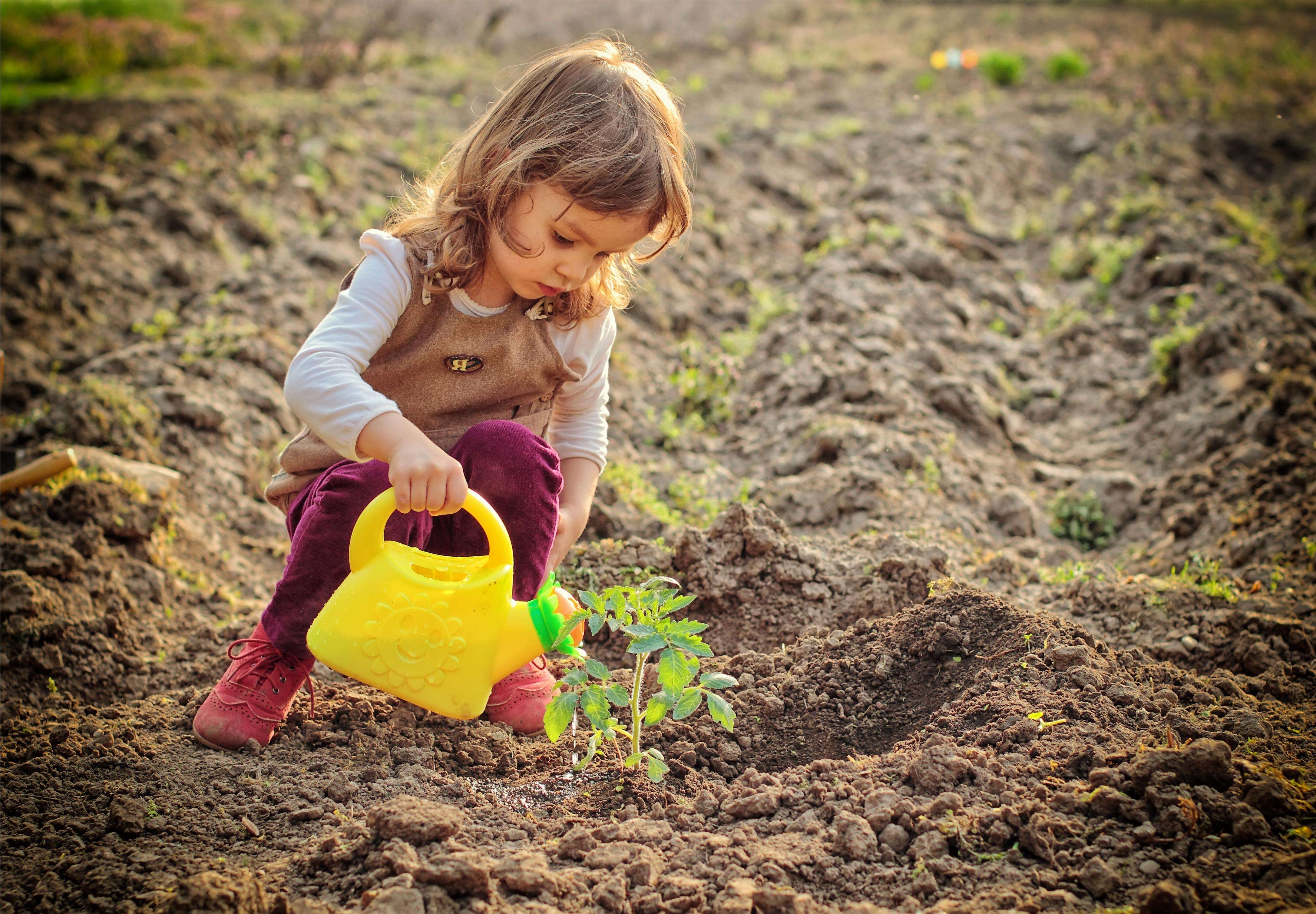 Дети посадили огород. Огород для детей. Дети и природа. Грядка для детей. Дети трудятся.