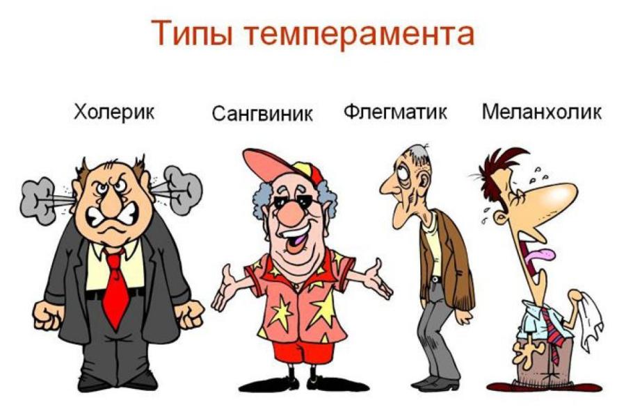 человек с темпераментом
