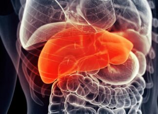 Добавка для печінки може підвищити ефективність лікування раку