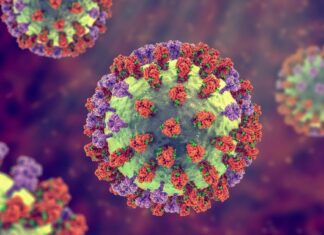 Сплески грипу по всій країні: зростають випадки, домінує новий штам