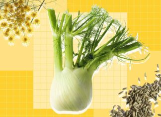 Фенхель: універсальний зимовий овоч, який люблять шеф-кухарі