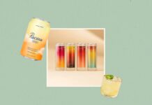 Подъем безалкогольных альтернатив: гид по безалкогольным напиткам на 2024 год