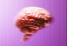 Розподіл Жиру Пов’язано зі Здоров’ям Мозок: Нове Дослідження Розкриває Несподівані Ризики