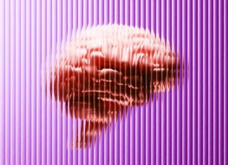 Розподіл Жиру Пов’язано зі Здоров’ям Мозок: Нове Дослідження Розкриває Несподівані Ризики