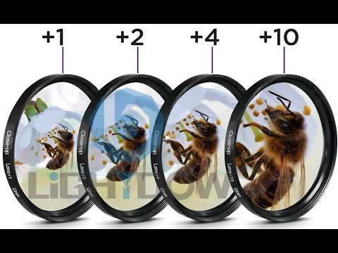 светофильтр объектив фотография макросъемка