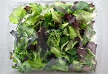 Скрытый риск удобства: почему салат в упаковке может быть не так безопасен, как вы думаете