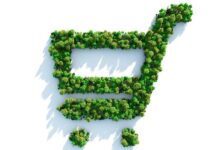 Ця рослина може видалити 90% токсинів за 24 години